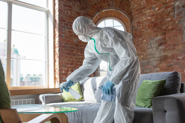 Biohazard Mold Removal in Clarendon, AR